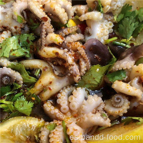 Deliciosos mariscos blanqueado pulpo bebé